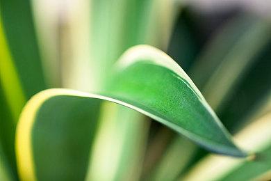 《刀剑神域：彼岸游境》大型扩充DLC后篇“Matricaria”正式发售 Steam定价148元